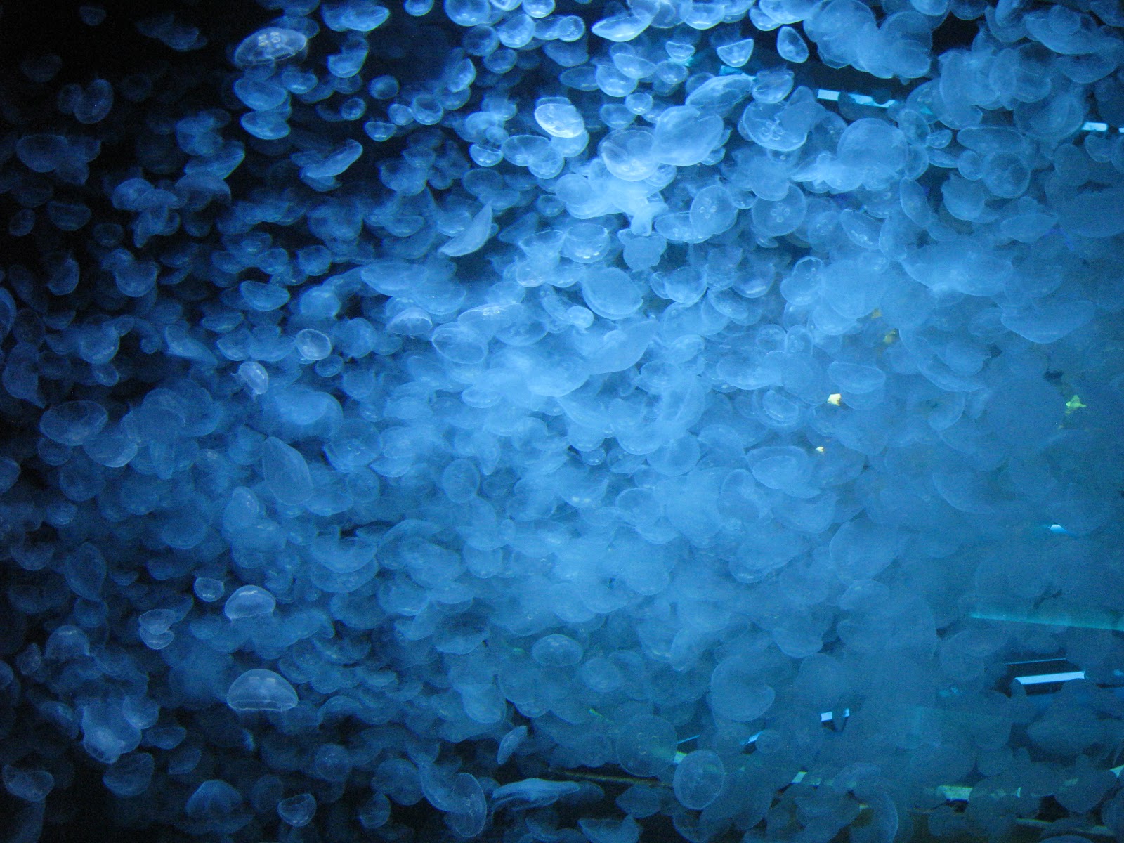 pamelopee Urlaub mit Kind Leben in