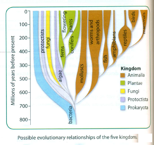 a summary of biodiversity 4 biodiversity plan for kangaroo island, south australia– summary biodiversity what is it biodiversity or biological diversity is the variety of all living things and includes the ecosystems of which they are a part. a summary of biodiversity 4 biodiversity plan for kangaroo island, south australia– summary biodiversity what is it biodiversity or biological diversity is the variety of all living things and includes the ecosystems of which they are a part.