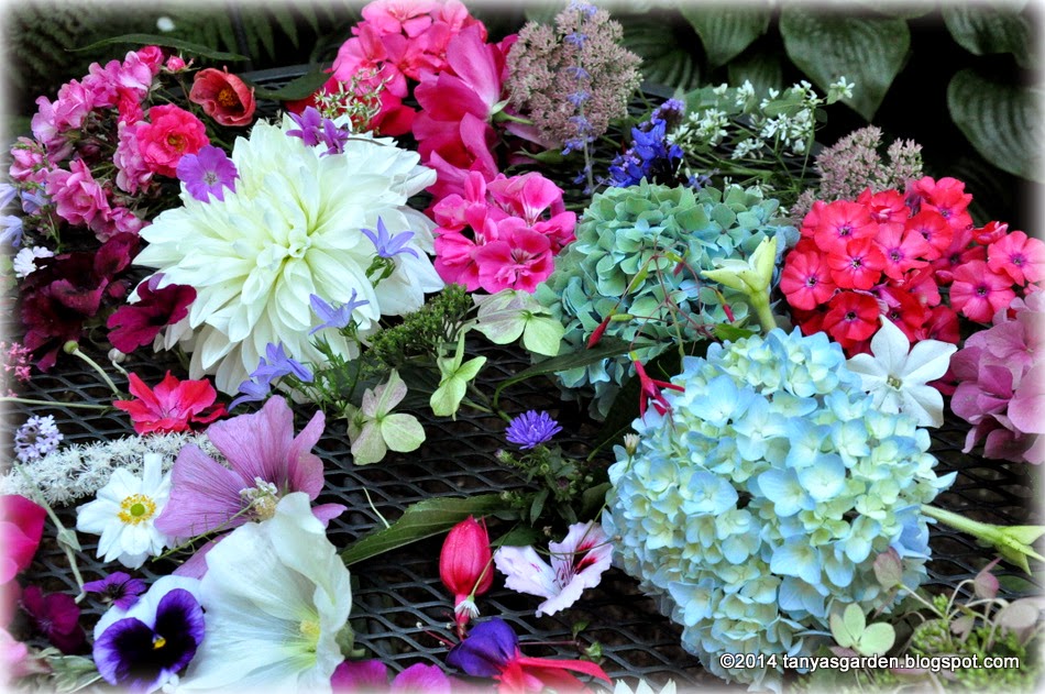 MySecretGarden Pacific NW (zone 8a) Flower Basket In September