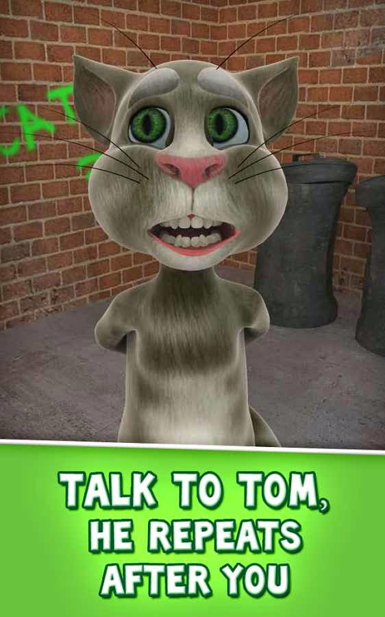 Tom cat 4