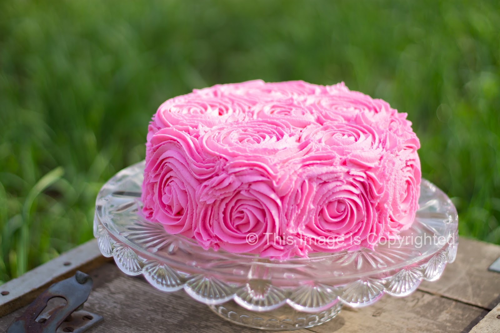 Make It Special {cakes} by Bridgette: Cake Smash Rose Cake