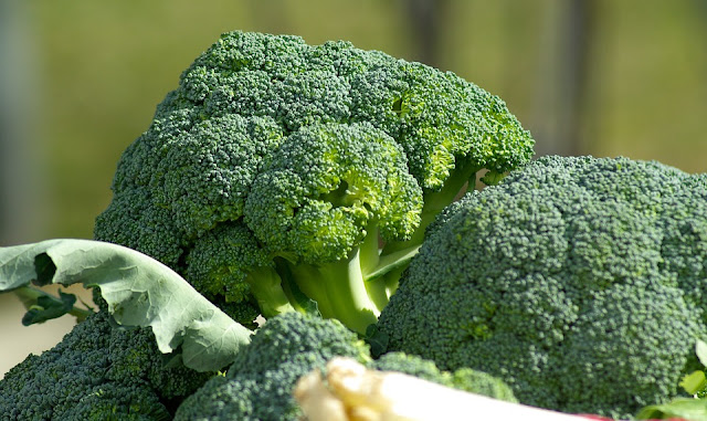 Broccoli Helps in detoxification Broccoli Helps in detoxification