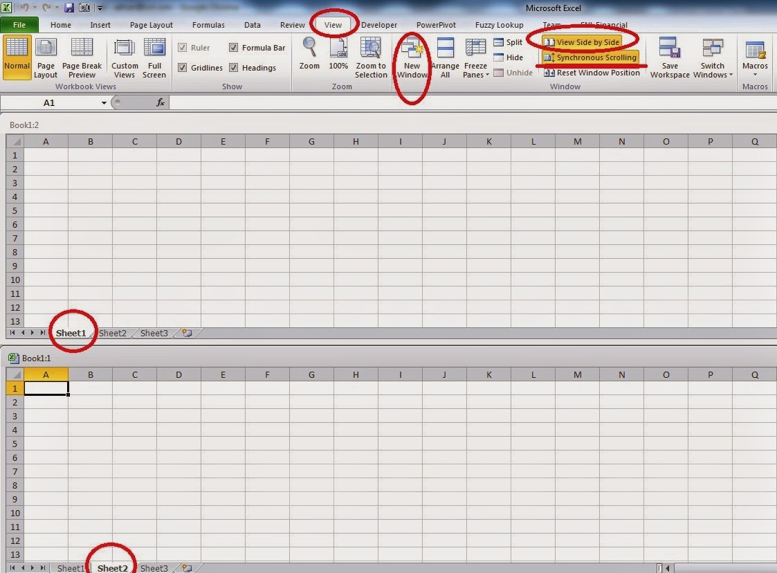 amiq-s-excel-learning-viewing-two-sheets-of-the-same-workbook-side-by-side