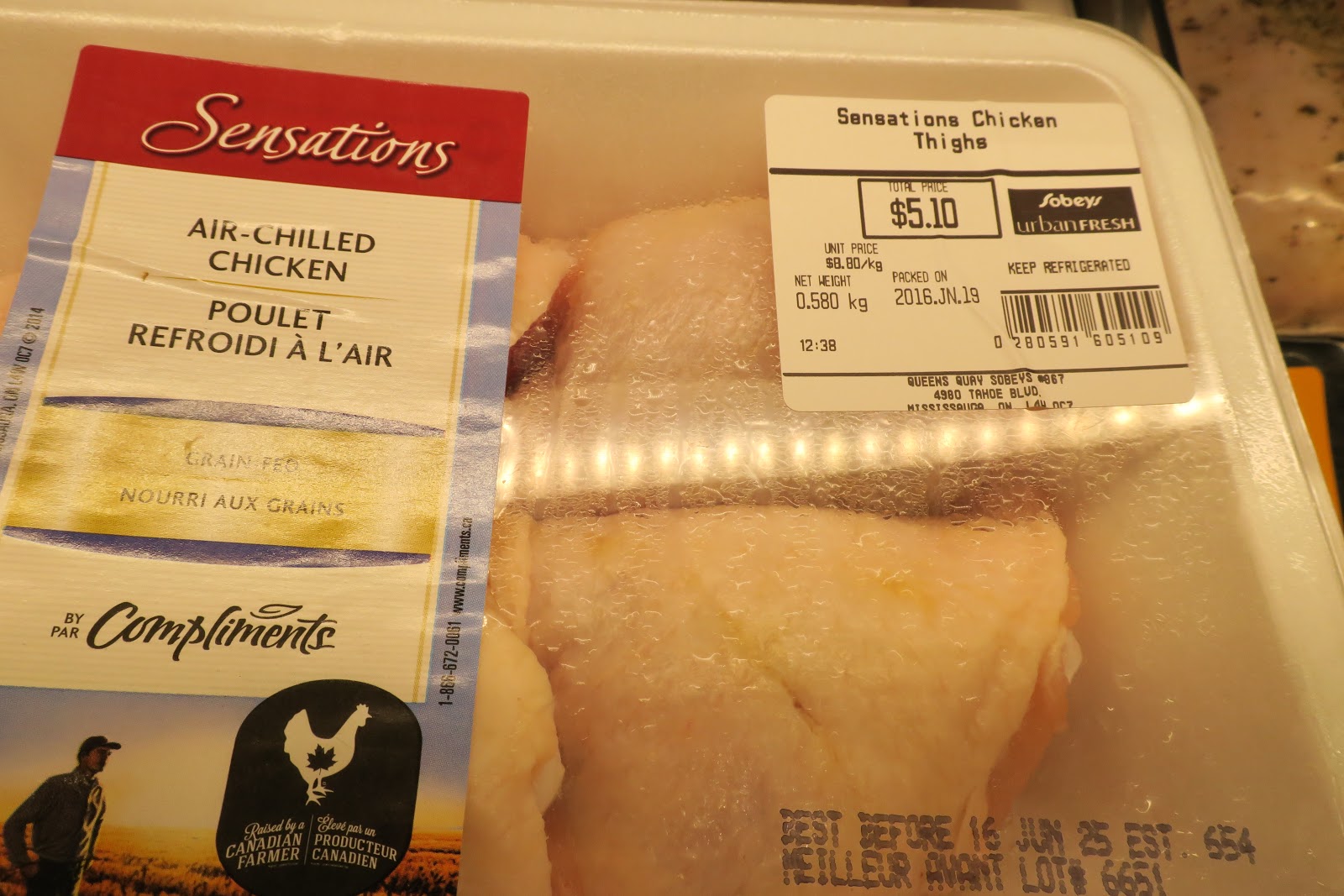 Living Rootless Toronto Chickens