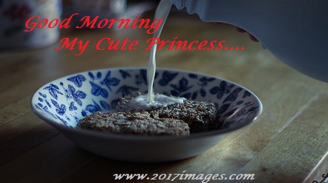 Good Morning My Cute Princess