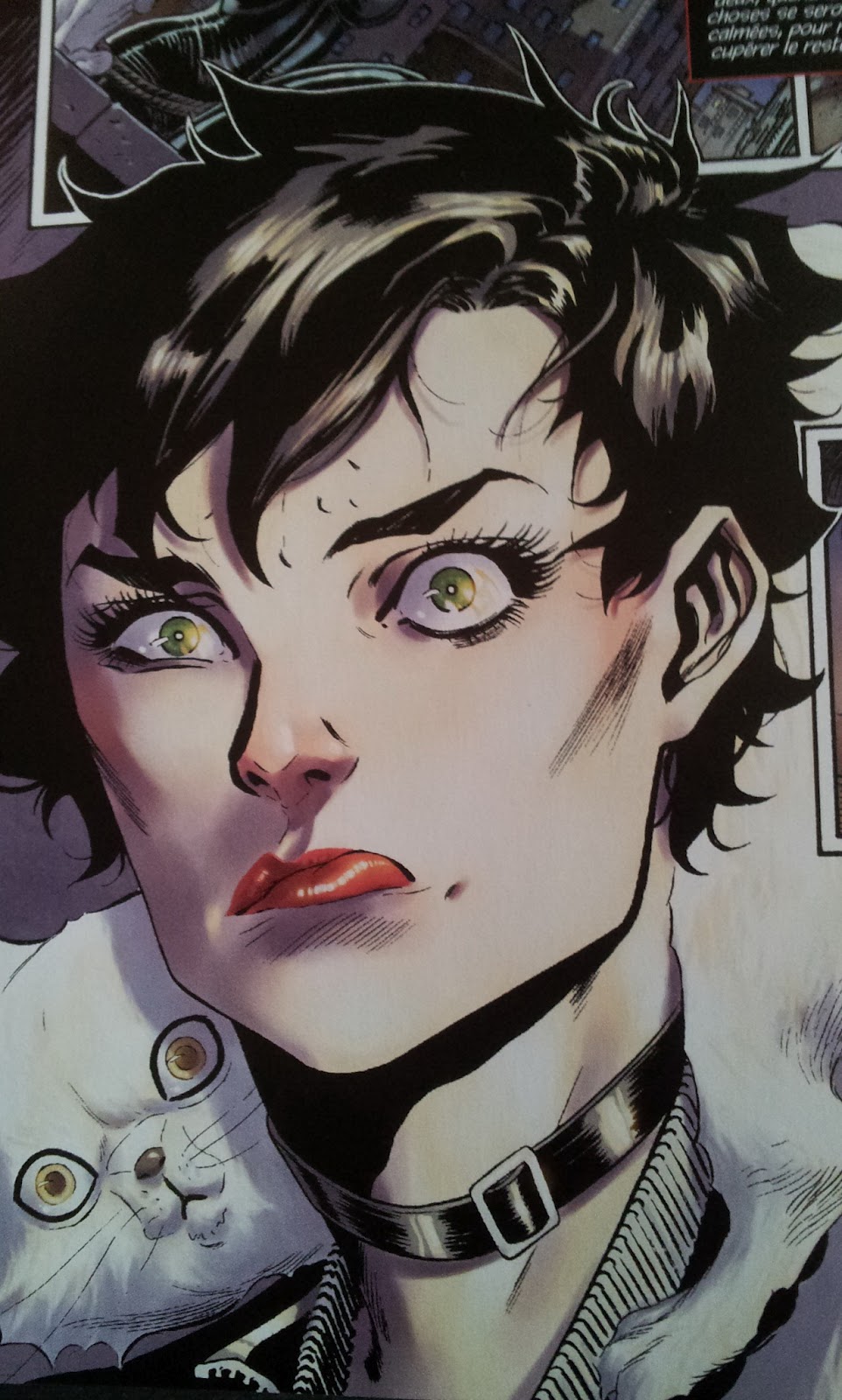 L'ivresse des bulles Catwoman, La règle du jeu