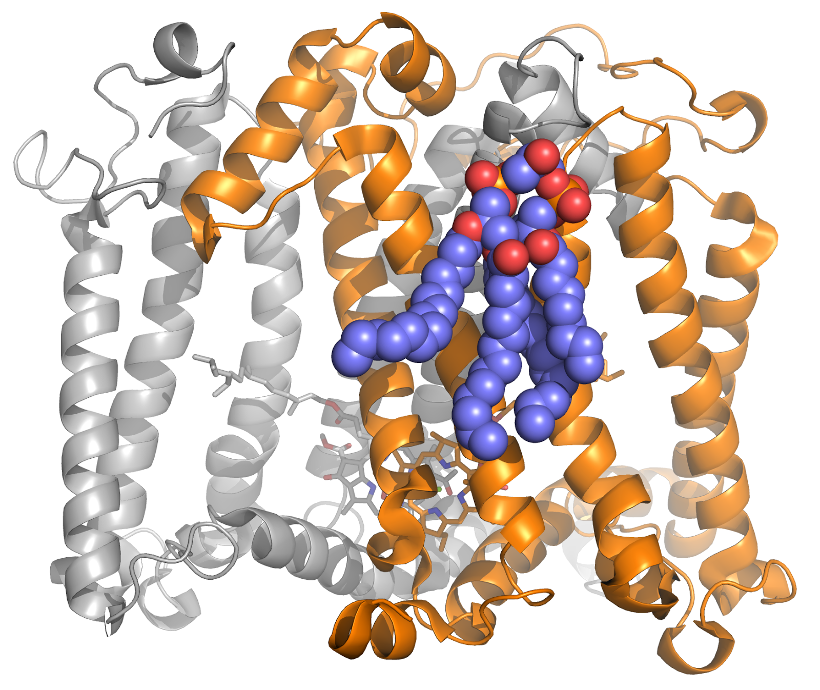Tanai's Science Blog Conserved lipids in photochemical reaction centers