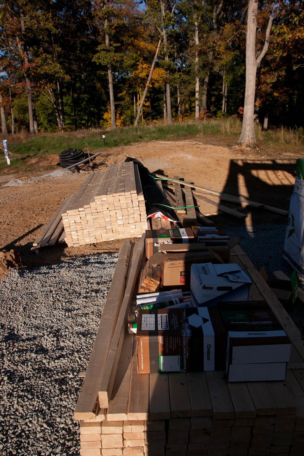 Romeing In Richmond Framing day 2