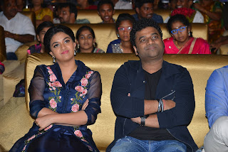 nenu local audio launch photos nenu local audio launch photos