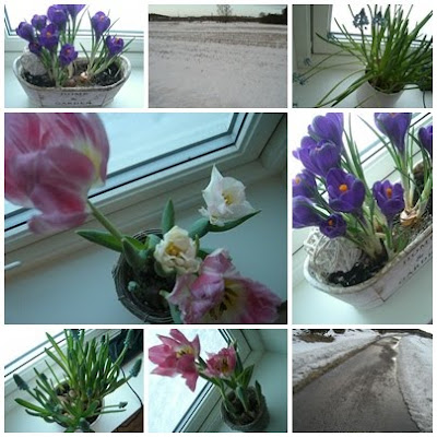 V%25C3%25A5rtecken - Vårtecken