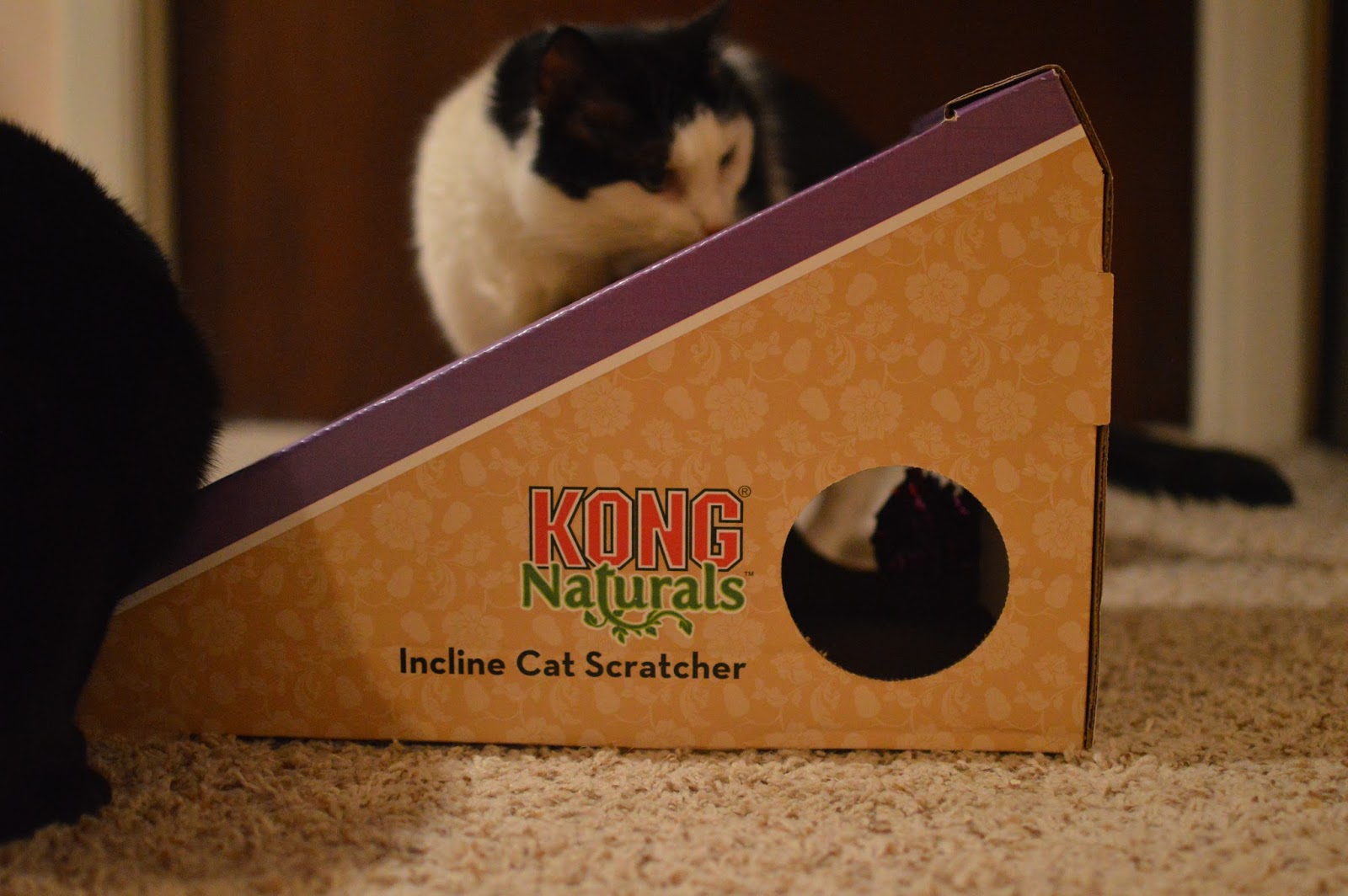 kong naturals cat scratcher