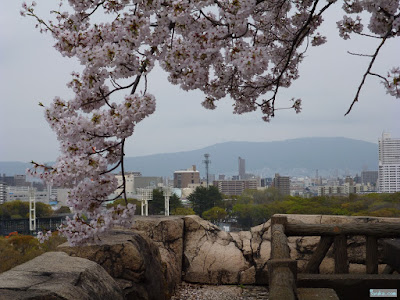 桜と生駒 桜と生駒