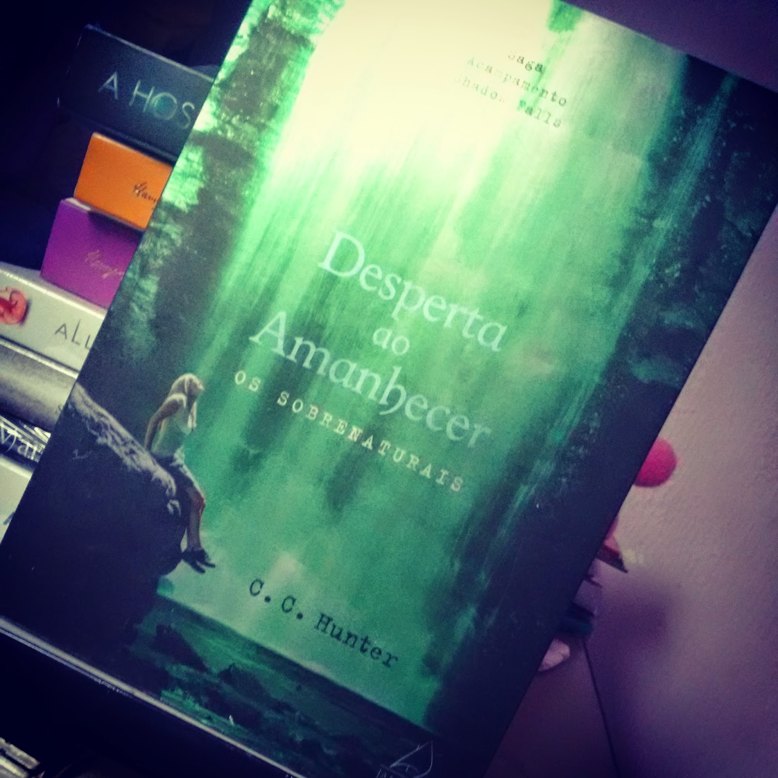 Crepusculo Amanhecer Pdf