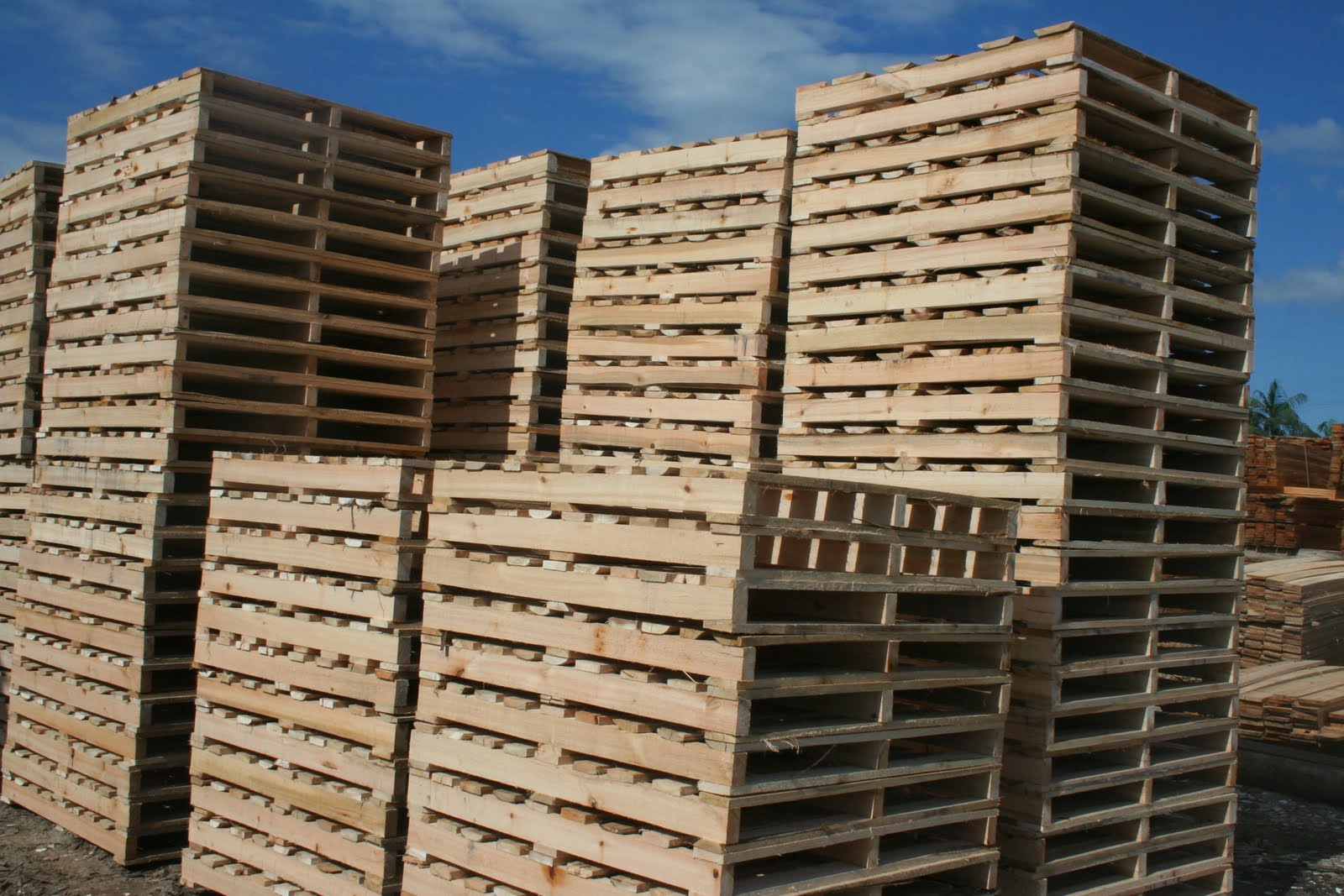 Madeireira Camila: Pallets