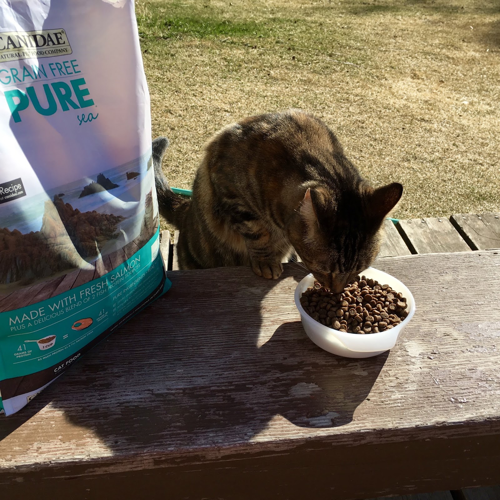 Pure Harmony Grain Free Cat Food Pure Harmony Grain Free Cat Food