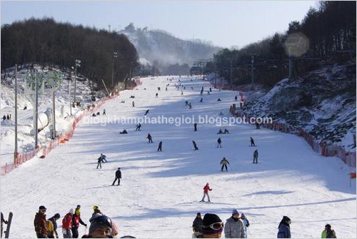 Du lịch Trượt tuyết và lướt ván tuyết ở Hàn Quốc 6