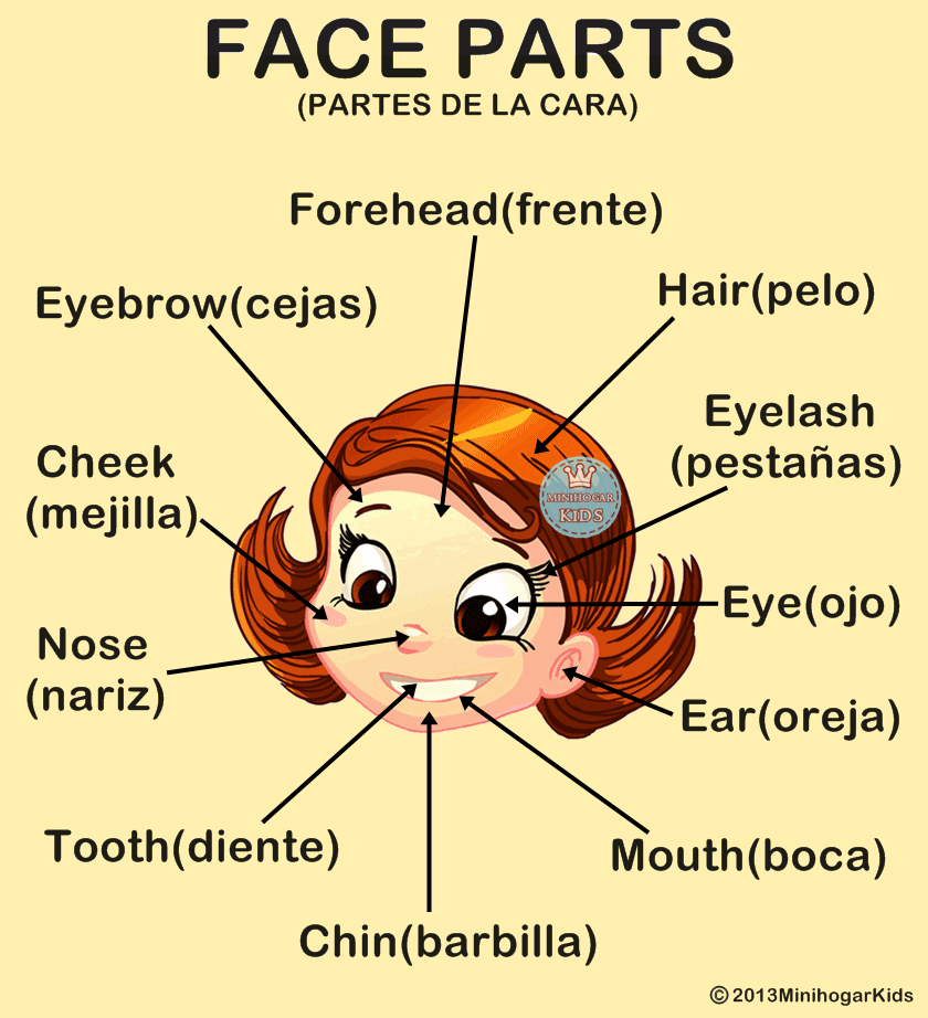 De la cara. Face Parts. Body Parts Vocabulary for Kids. Face Parts for Kids. Face Vocabulary for Kids.