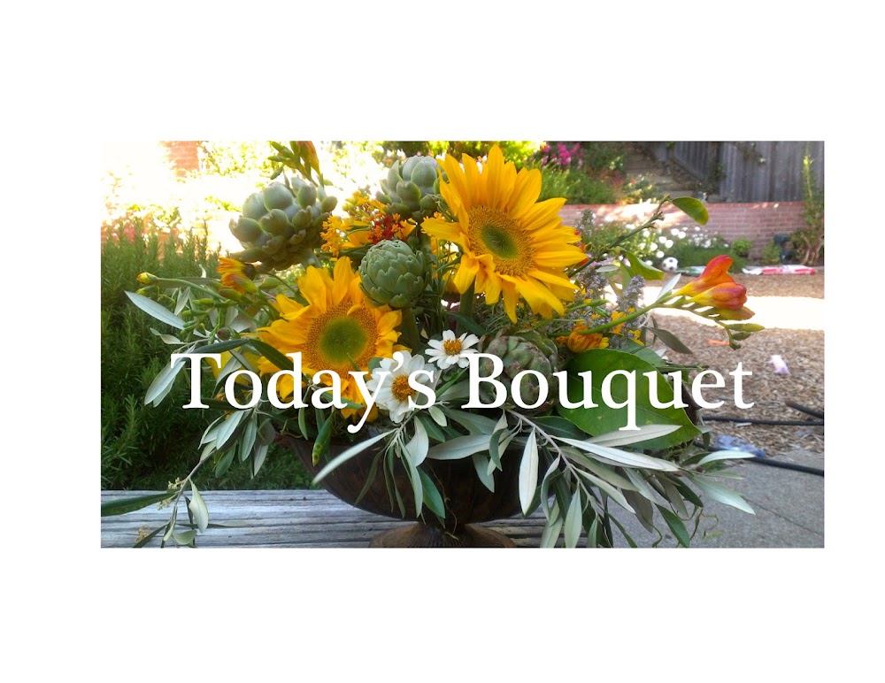 Todays Bouquet