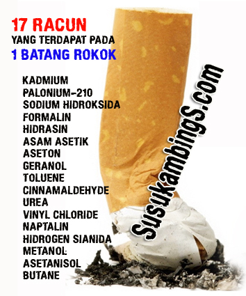 Bahaya Rokok Bagi Kesehatan Bahaya Rokok