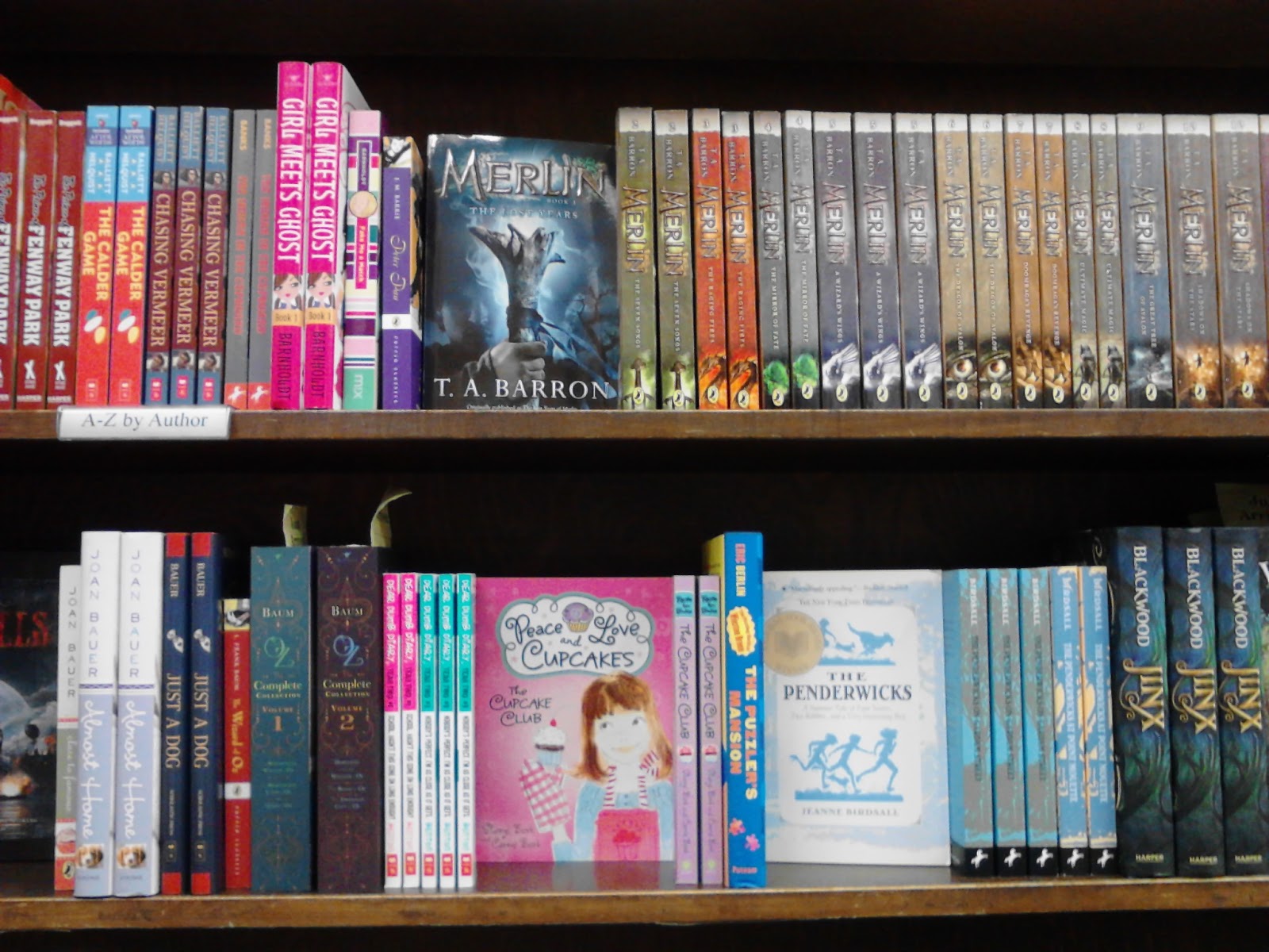 brookline blogsmith The Backbone of a Book is its Spine