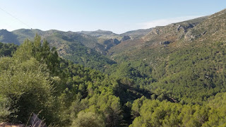 el-burgo-sierra-de-las-nieves-malaga-turismo-rural-senderismo-ocio el-burgo-sierra-de-las-nieves-malaga-turismo-rural-senderismo-ocio