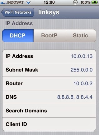 Mengganti DNS iPhone Di jaringan WiFi