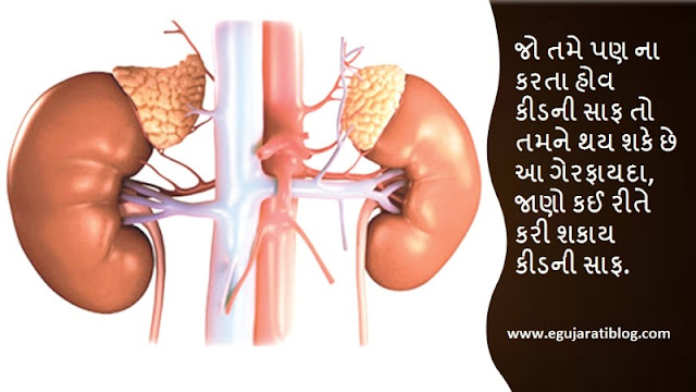 how to clean kidney in Gujarati how to clean kidney in Gujarati