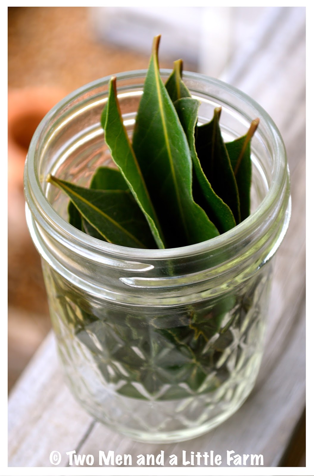 Two Men and a Little Farm FARM FREEZE UPDATE