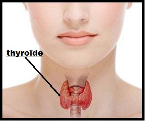 Voici la principale raison qui détruit la glande de la thyroïde