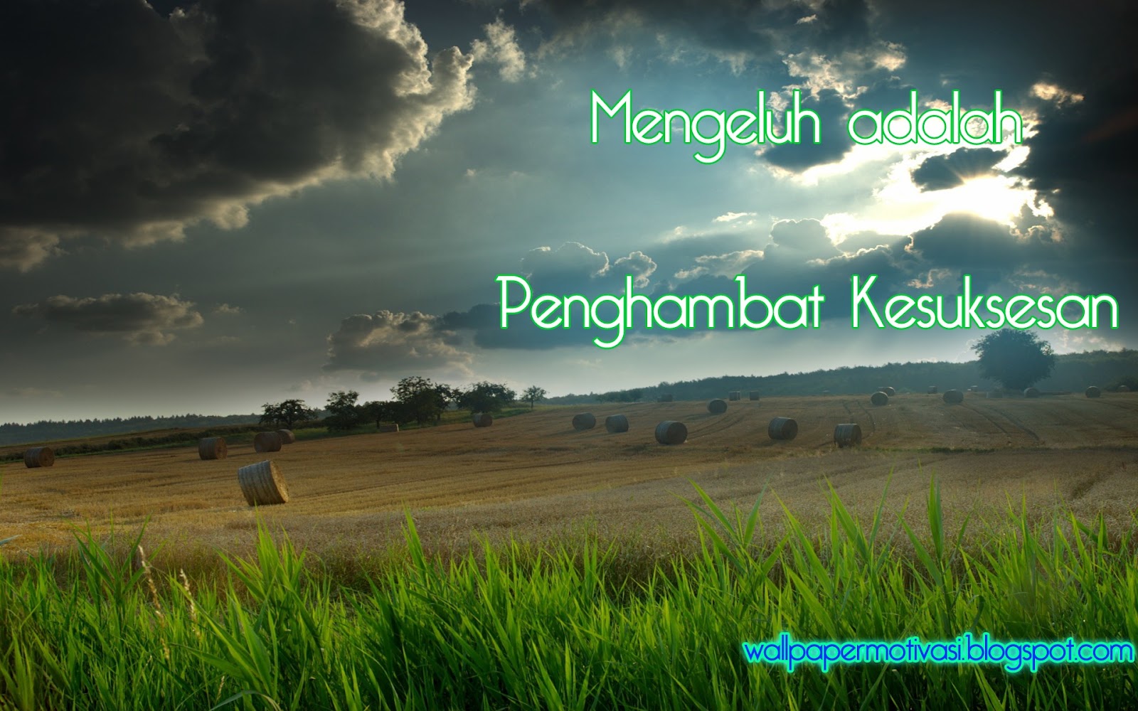 Image Result For Kata Bijak Berambut Gondrong Image Result For Kata Bijak Berambut Gondrong