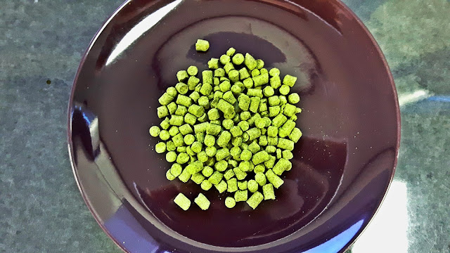 Week 90: Brewing a Hoppy Sour
