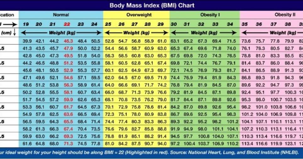 Seindah Mimpiku: Normal | Overweight | Obesity I | Obesity II