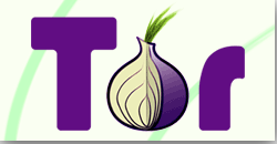  Logo de Tor y acceso al sitio web