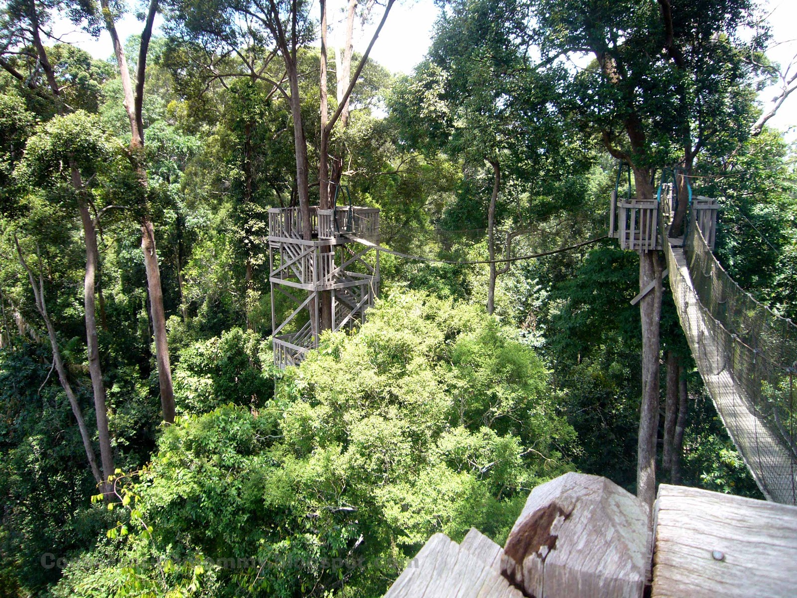 5 Abroad: Bukit Bangkirai