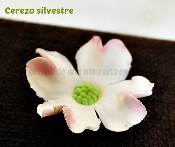 FLOR DE CEREZO