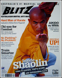 <em><strong>Blitz Martial Arts Magazine</strong></em>