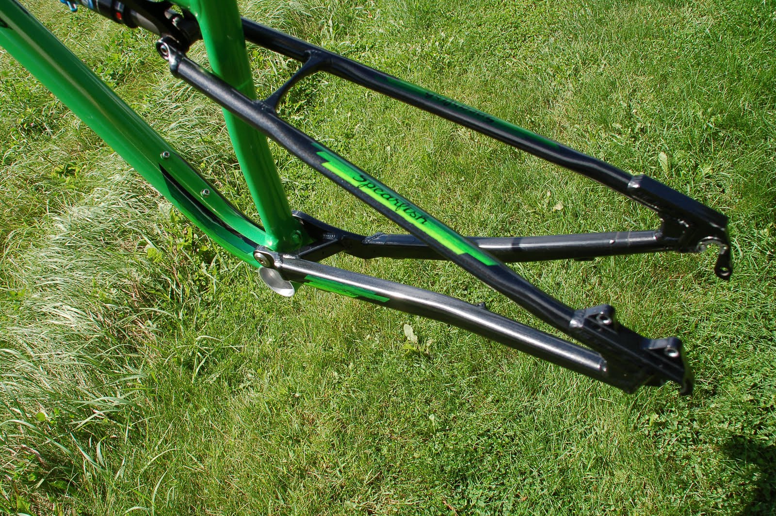 salsa spearfish frame