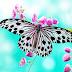 Butterfly Wallpaper
