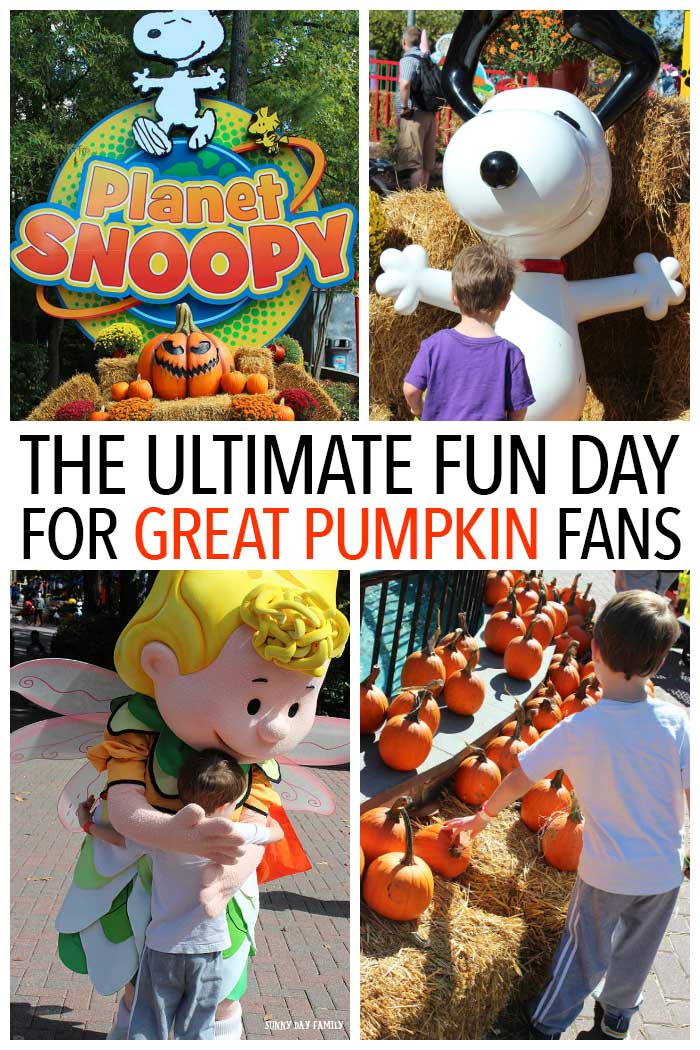 The Ultimate Fun Day for Great Pumpkin Fans Sunny Day Family