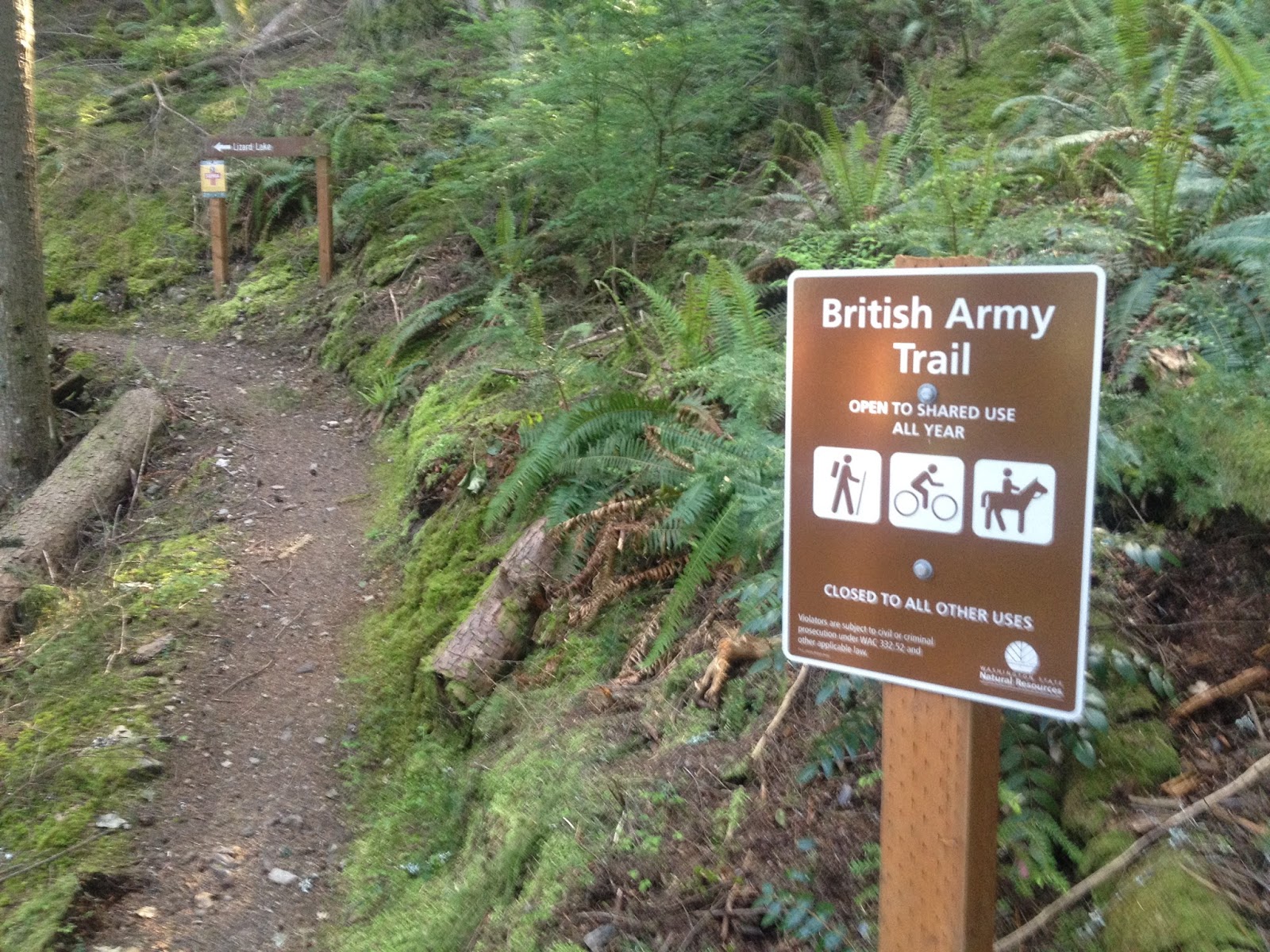 Before The Deluge Blanchard Mountain
