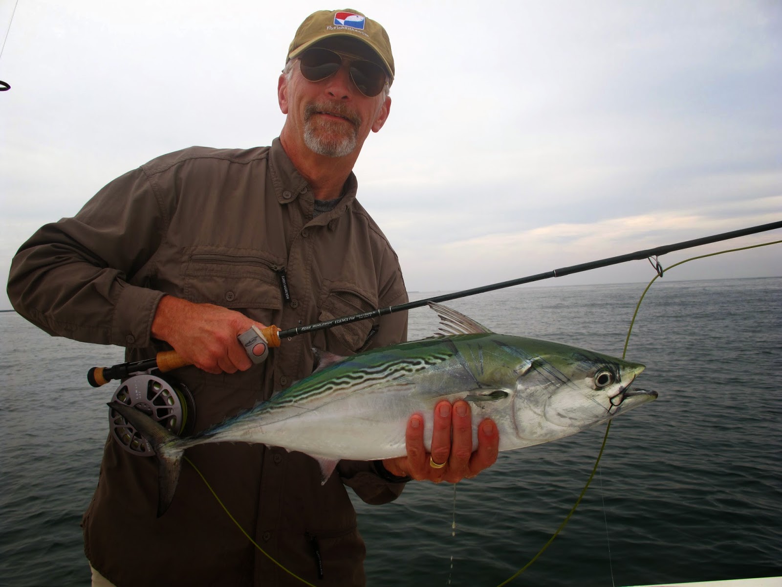 Boston Fly Fishing and Report False Albacore and Bonito from the Long