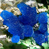 Beautiful Blue Arhbarite Crystals From Chile