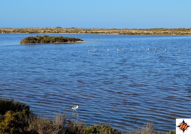 San Pedro de Pinatar, Parque Regional Salinas y Arenales San Pedro de Pinatar, Parque Regional Salinas y Arenales