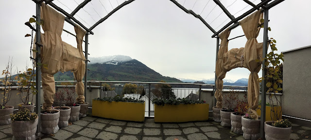 Winterzeit für meine Balkonpflanzen Genussbalkon im Panoramabild