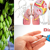 Try Alternative Home Treatment For Your Various Diseases And Switch To Cucumber Tree A True Remedy!