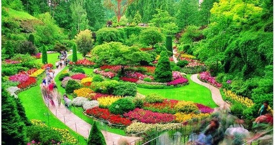 Taman Bunga Paling Cantik Di Dunia - Butchart Gardens