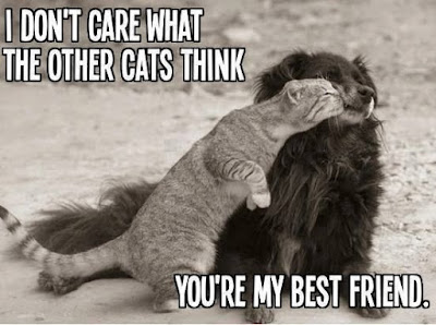 Happy Friendship Day Funny Images 2017 And Friendship Day Funny Quotes With Images For Funny Friends Happy Friendship Day Funny Images 2017 And Friendship Day Funny Quotes With Images For Funny Friends