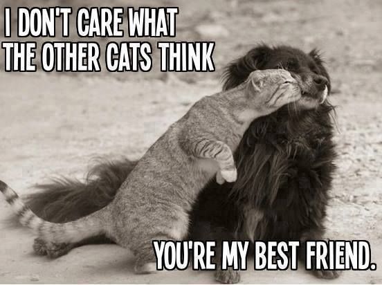 Happy Friendship Day Funny Images 2017 And Friendship Day Funny Quotes With Images For Funny Friends Happy Friendship Day Funny Images 2017 And Friendship Day Funny Quotes With Images For Funny Friends