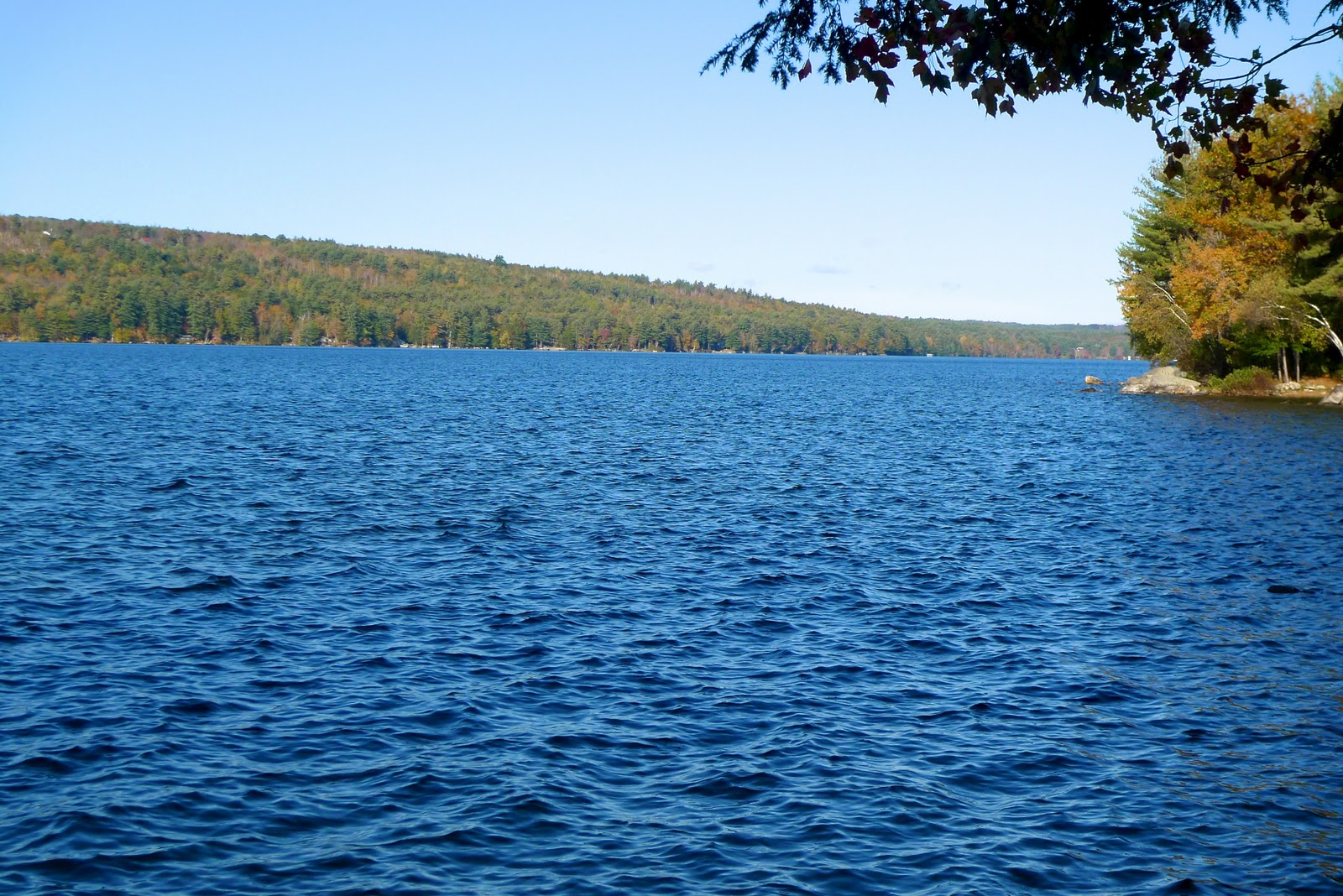 EARLY RISING ON CHAUTAUQUA LAKE A Day of Travel, Lake Thompson Maine