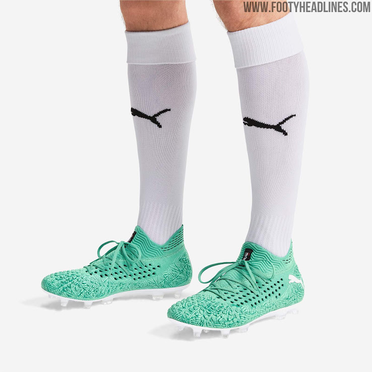 puma future winterized